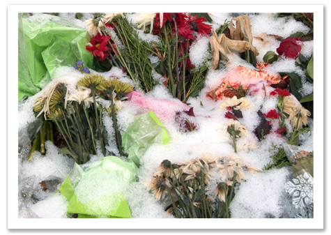 Snow and Flowers R.Olson .jpg
